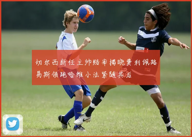 切尔西新任主帅赔率揭晓费利佩路易斯领跑哈维小法紧随其后