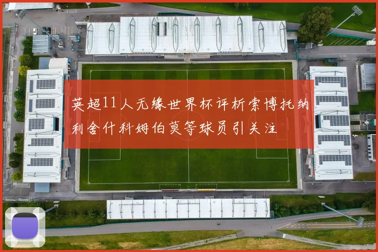 英超11人无缘世界杯评析索博托纳利舍什科姆伯莫等球员引关注