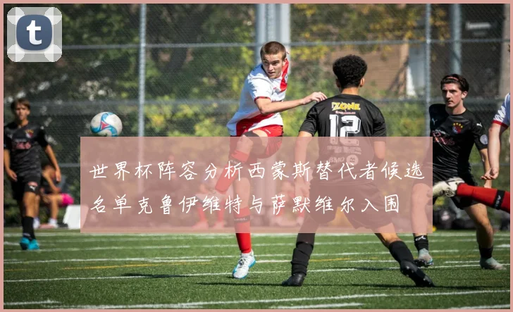 世界杯阵容分析西蒙斯替代者候选名单克鲁伊维特与萨默维尔入围